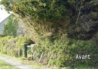 Horticulture indre et loire 37 avant paysage